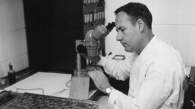 Prof. Donald Metcalf